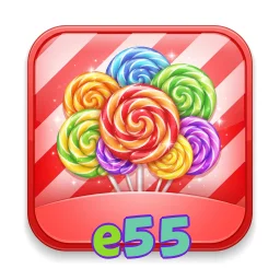 e55